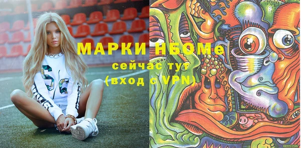 индика Балахна