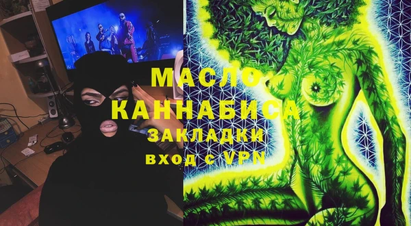 индика Балахна